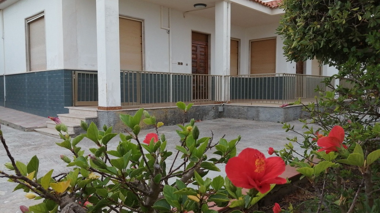Photo of Outdoor in San Lorenzo