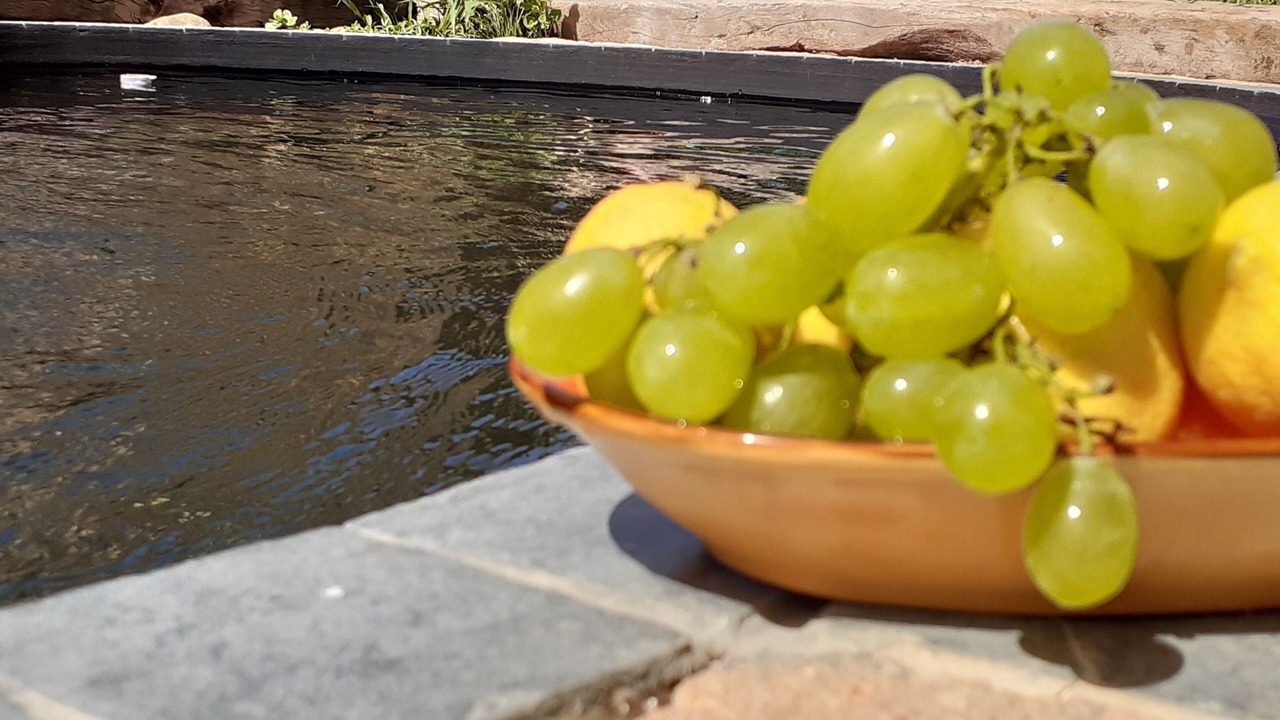 Photo of Outdoor in Alcamo