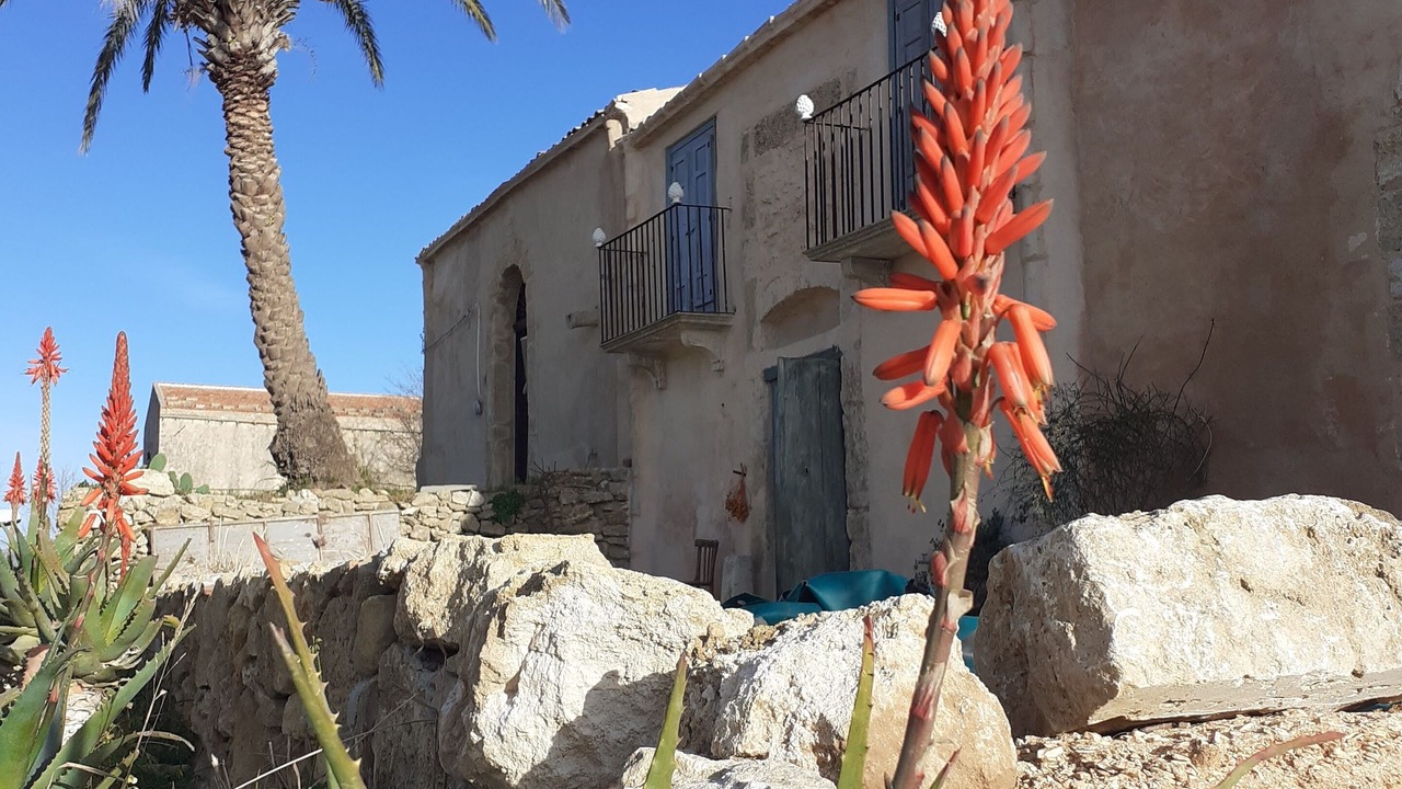 Photo of Outdoor in Alcamo