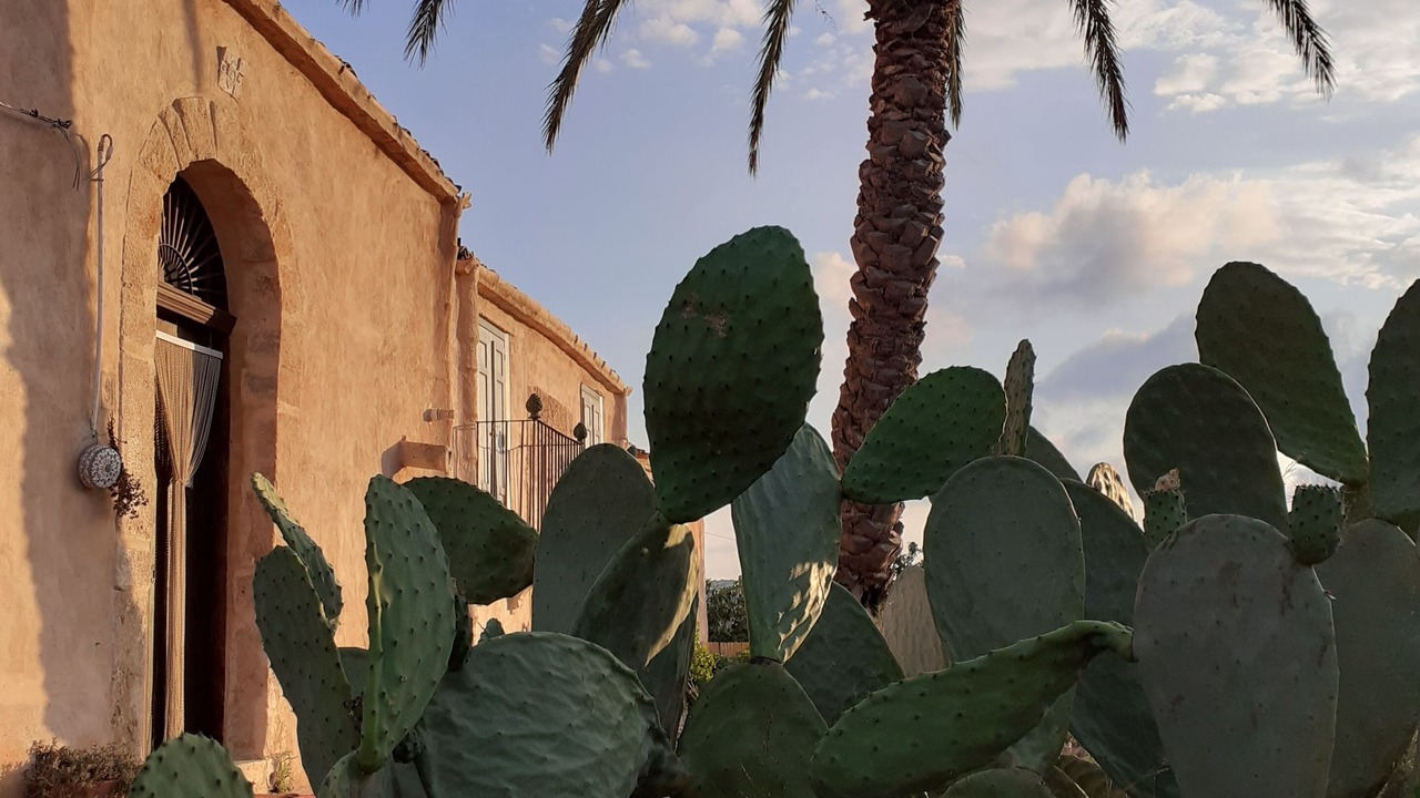 Photo of Outdoor in Alcamo