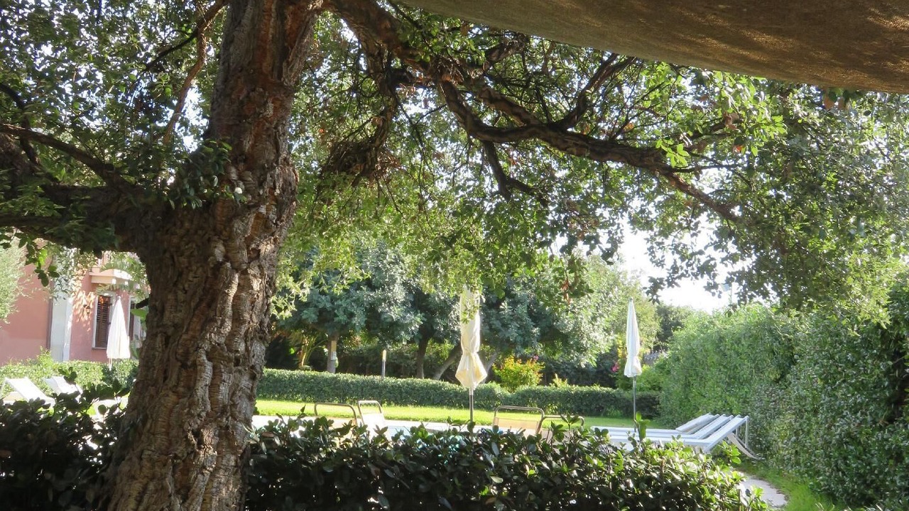 Photo of Outdoor in Santa Tecla
