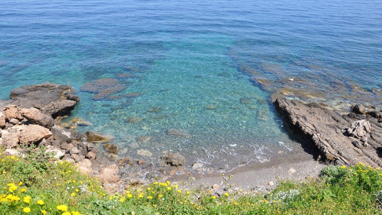 Photo of Others in Marettimo