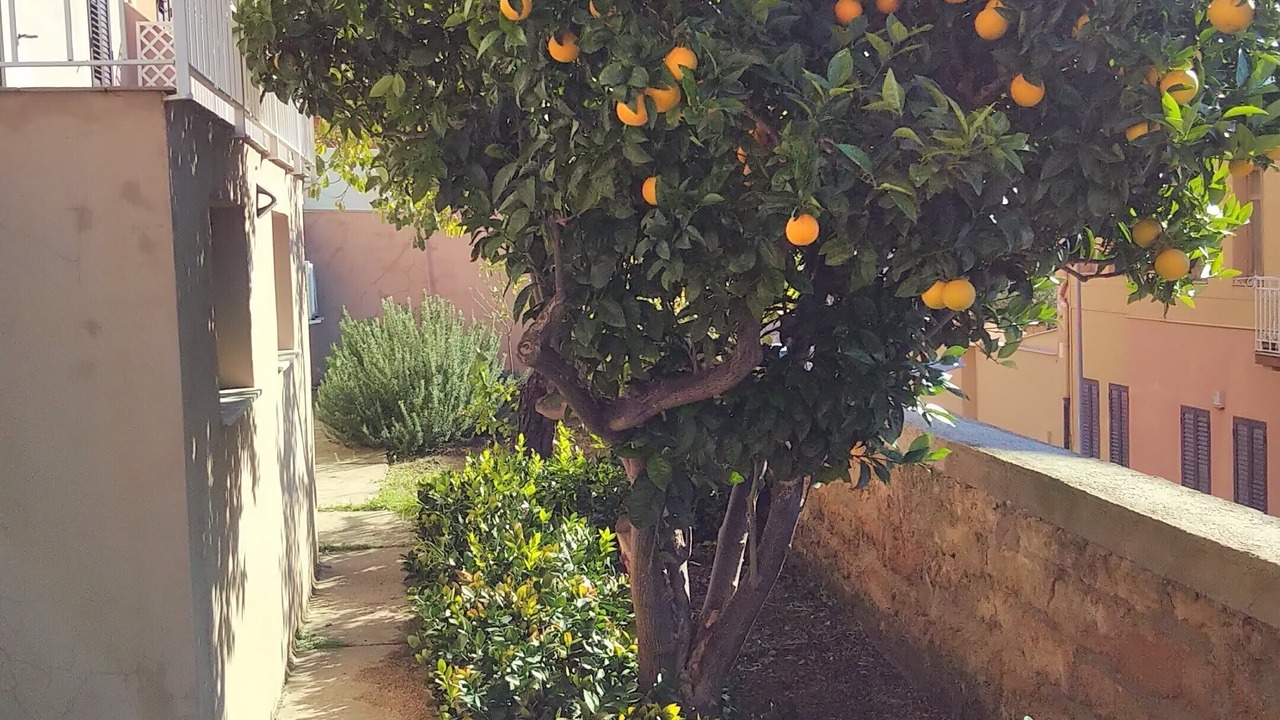 Photo of Outdoor in Agrigento