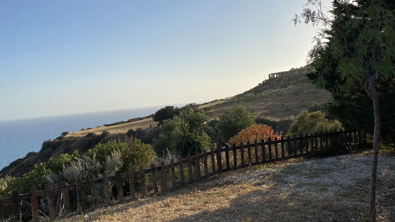 Photo of Outdoor in Pergole