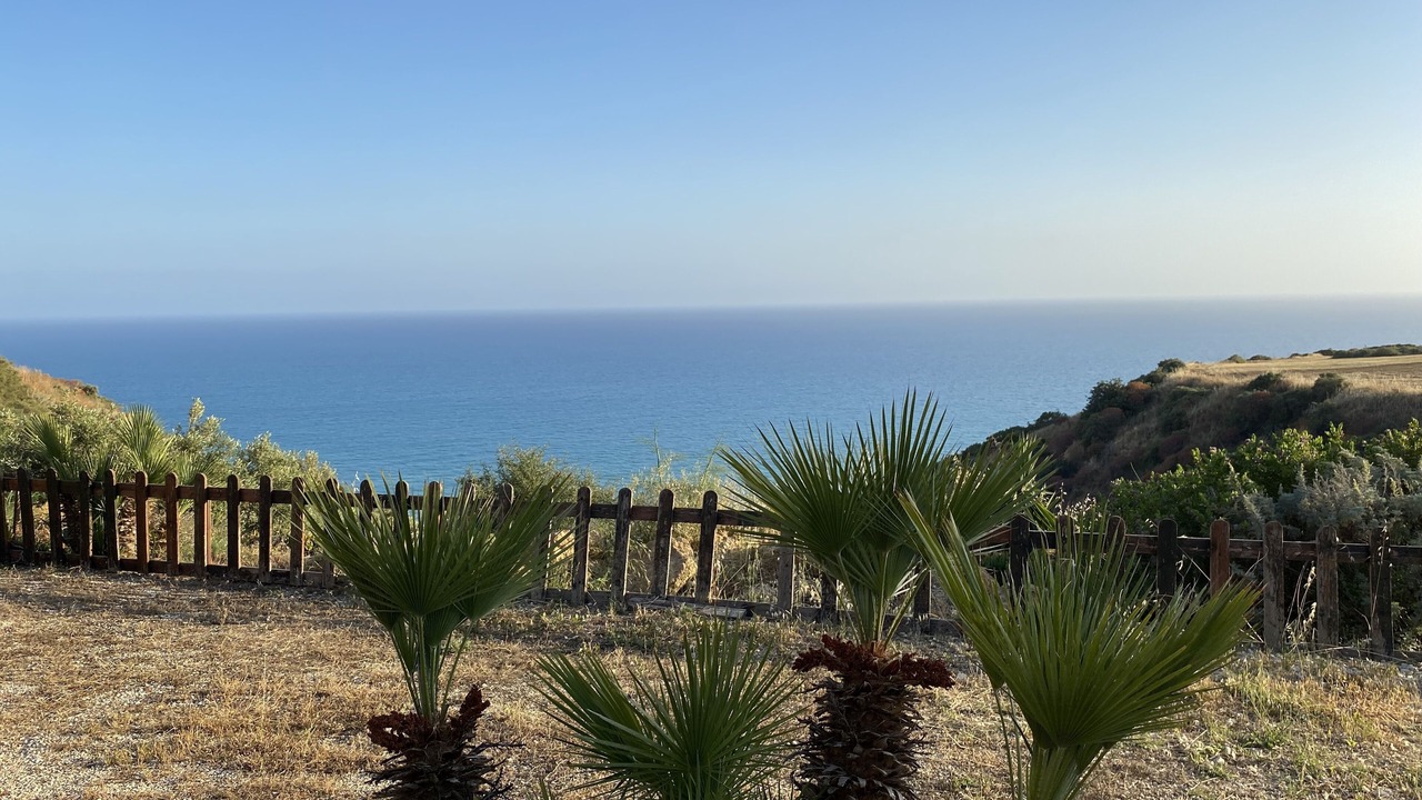 Photo of Outdoor in Pergole