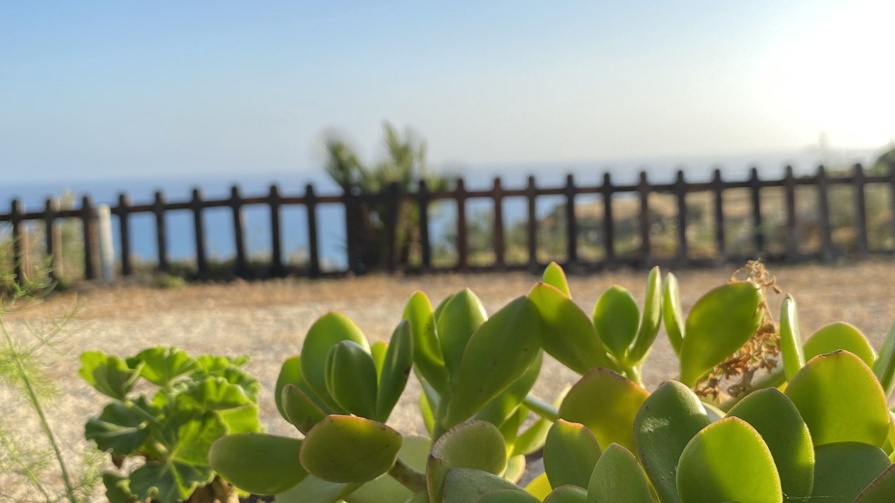 Photo of Outdoor in Pergole