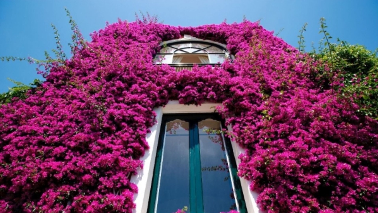 Photo of Outdoor in Positano