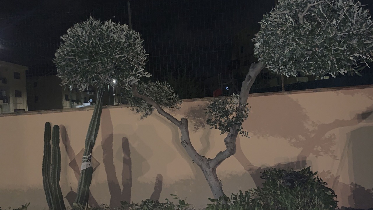 Photo of Outdoor in Siculiana