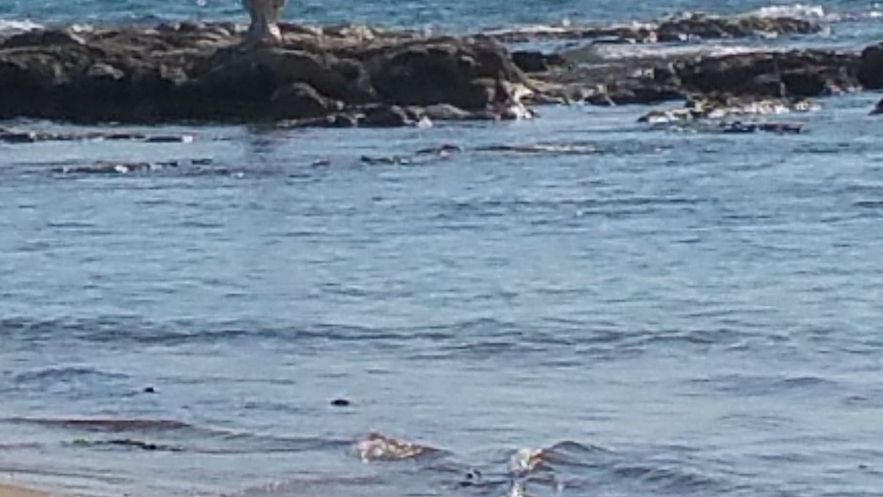 Photo of Others in Siculiana
