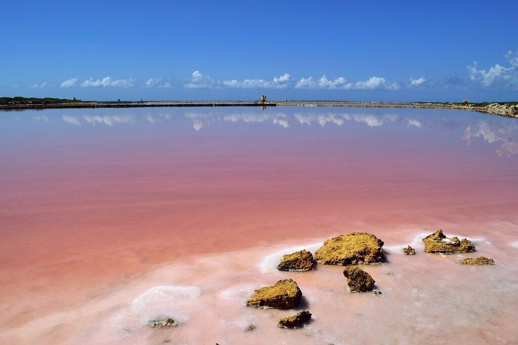 Photo of Others in Marsala