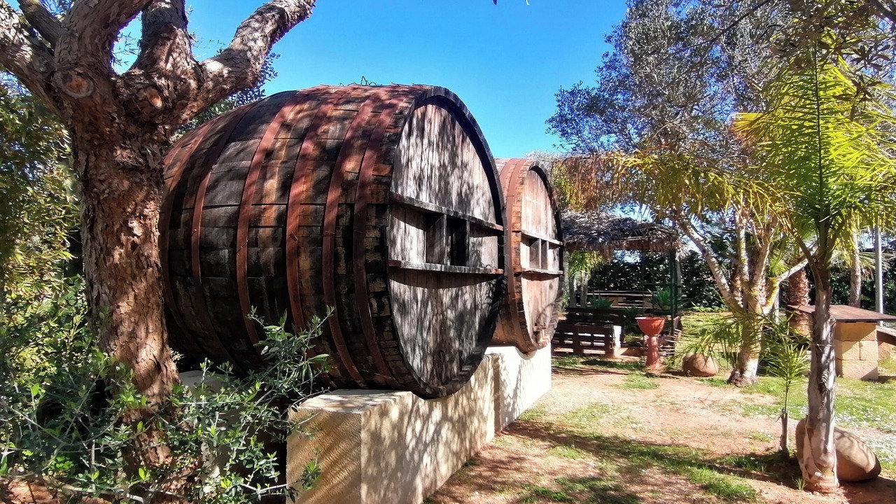 Photo of Outdoor in Marsala