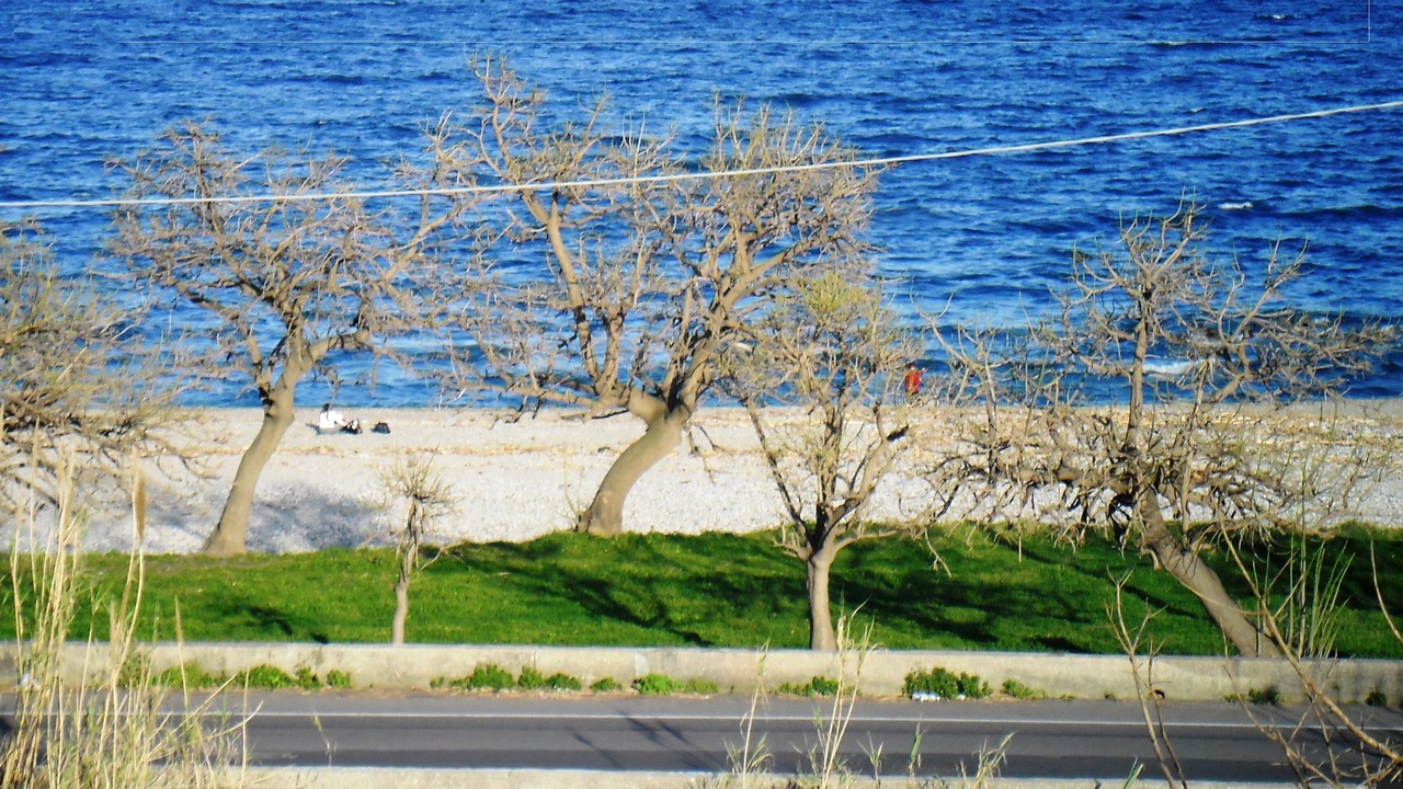 Photo of Others in Sant'Anna
