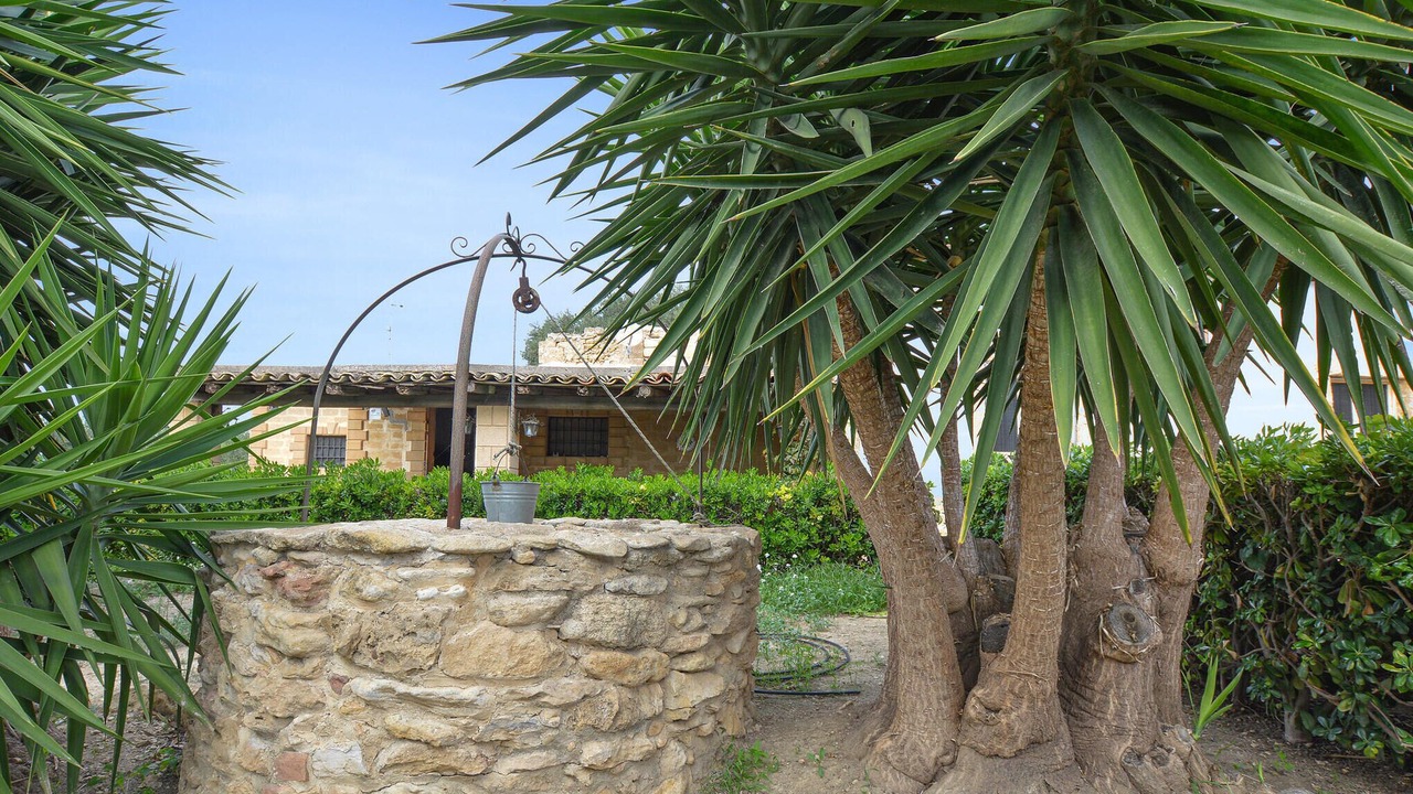 Photo of Others in Castelvetrano