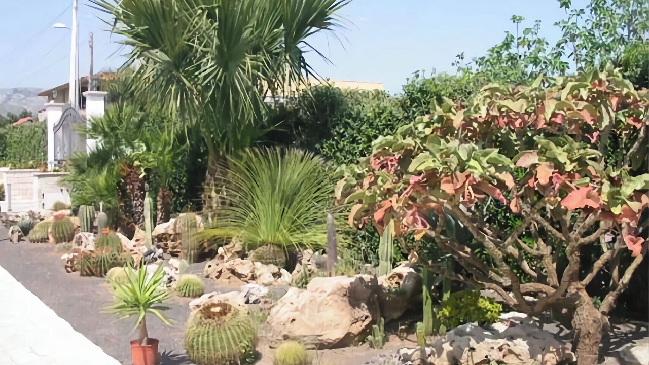 Photo of Outdoor in Avola