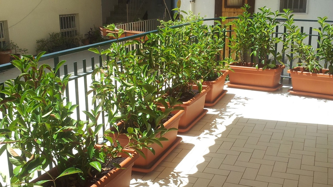 Photo of Outdoor in Borgo-Sanzio