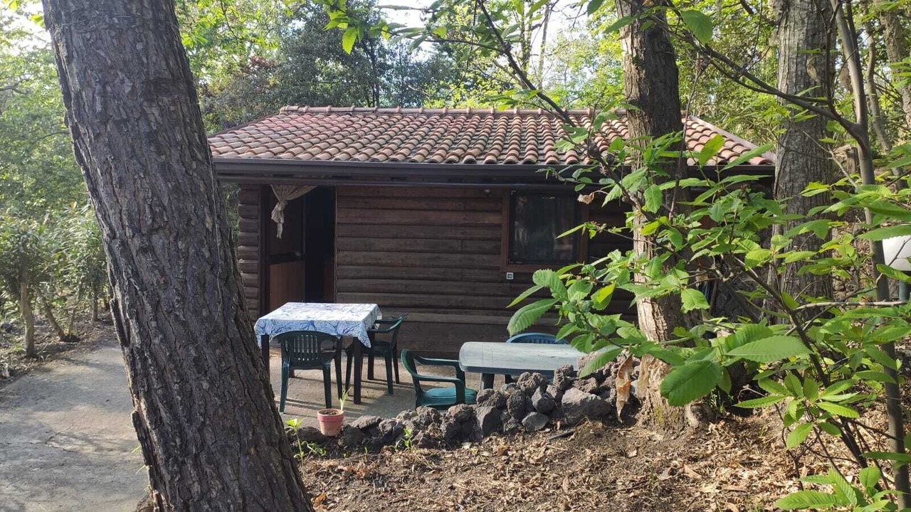 Photo of Outdoor in Pedara