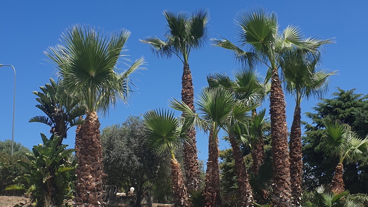 Photo of Outdoor in Borgo Bonsignore