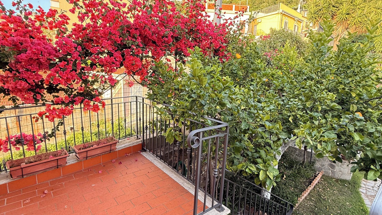 Photo of Outdoor in Pizzo
