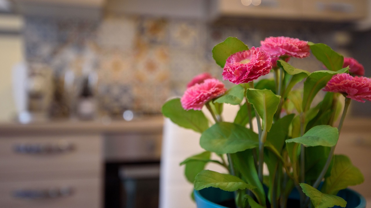 Photo of Kitchen in Corso dei Mille - Sant'Erasmo