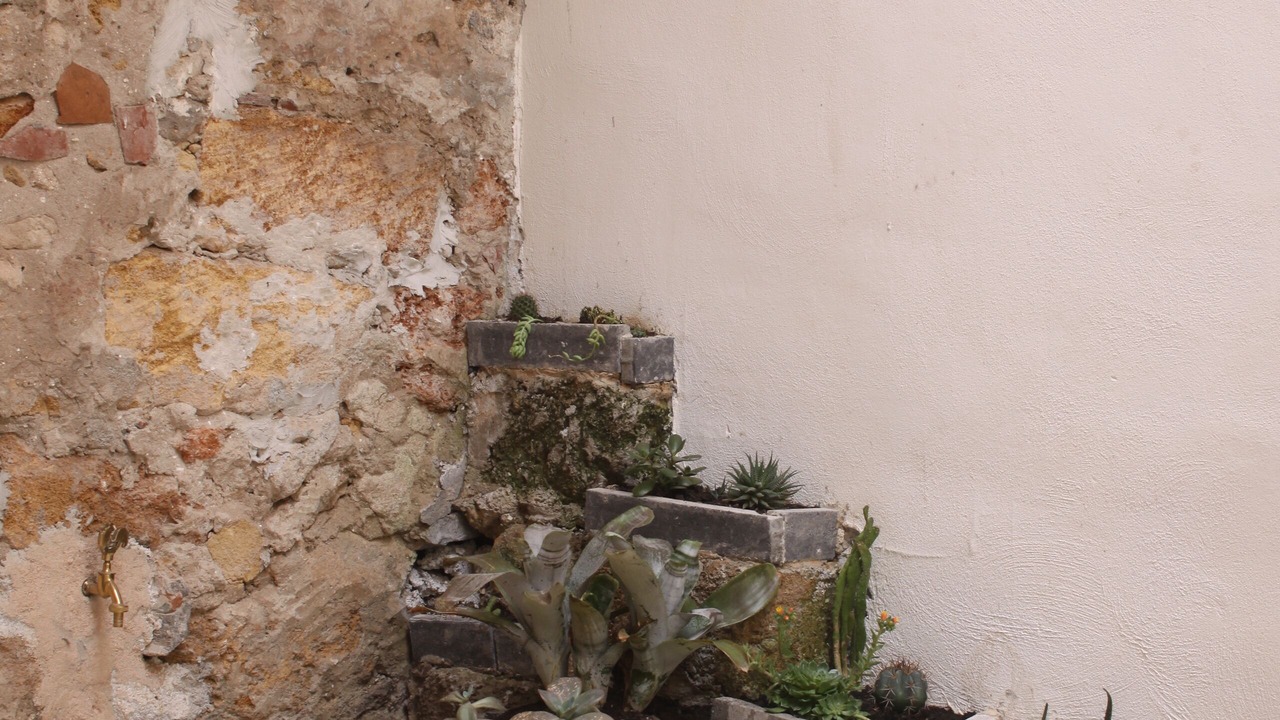 Photo of Outdoor in Monte di Pieta