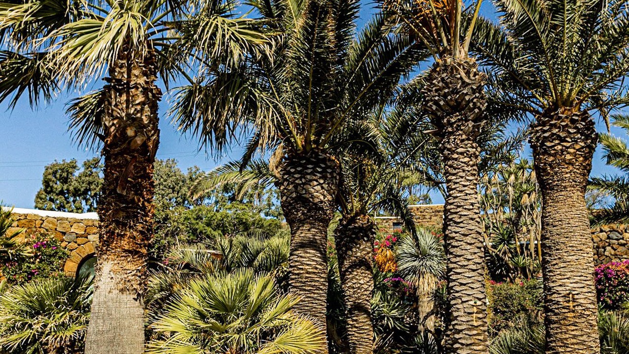 Photo of Outdoor in Pantelleria