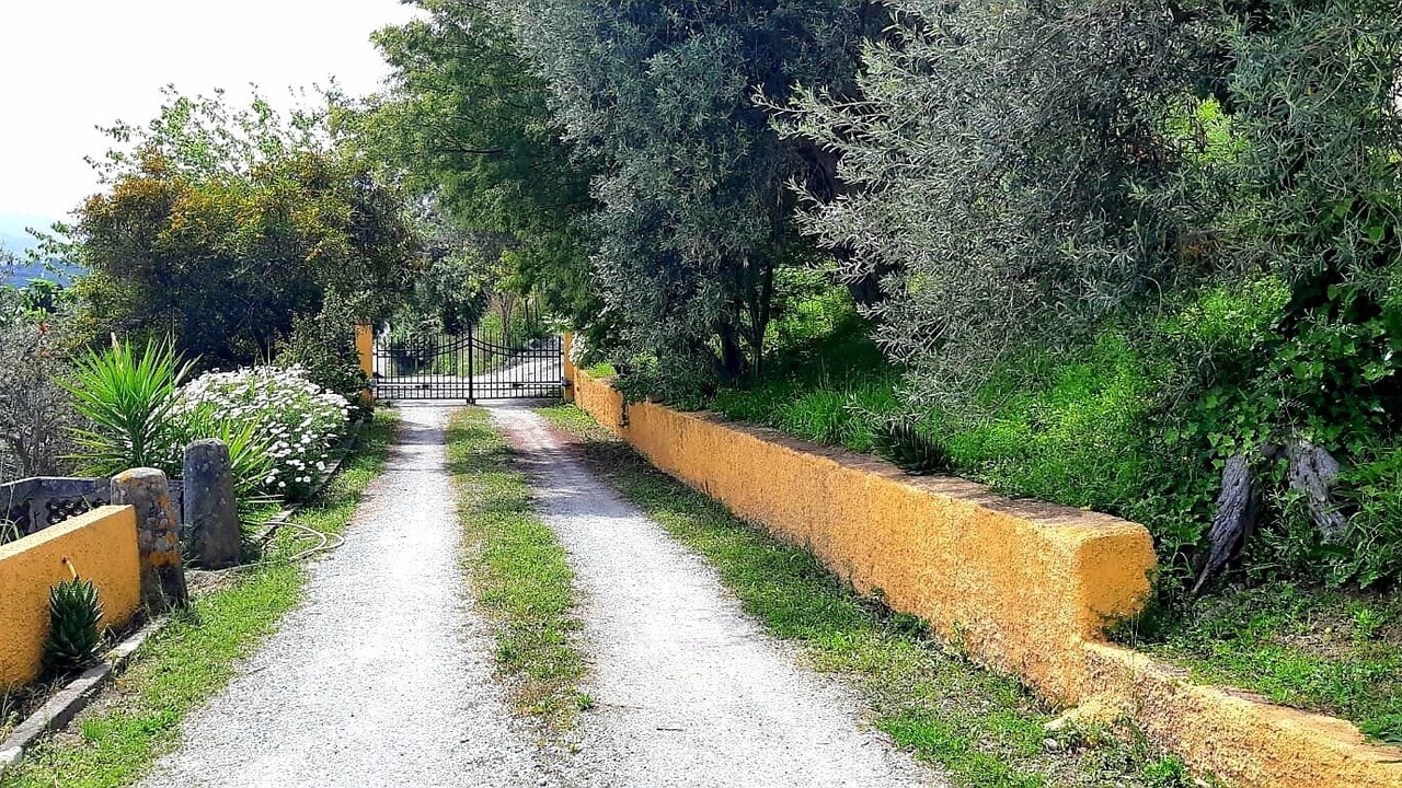 Photo of Outdoor in Sorrentini