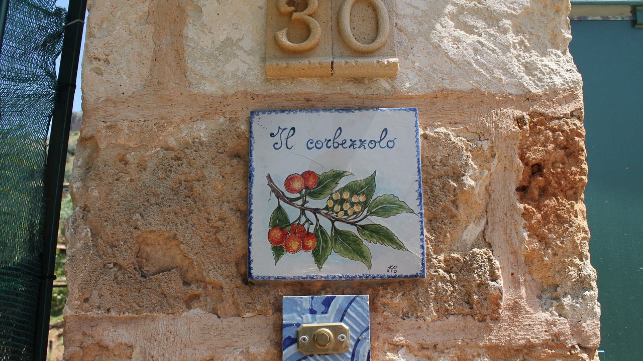 Photo of Outdoor in Castelluzzo
