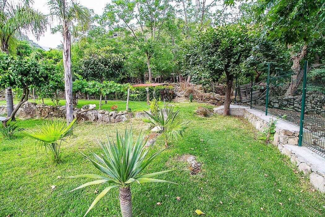 Photo of Outdoor in Motta Camastra