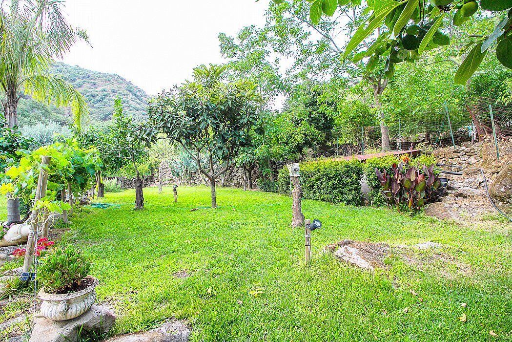 Photo of Outdoor in Motta Camastra