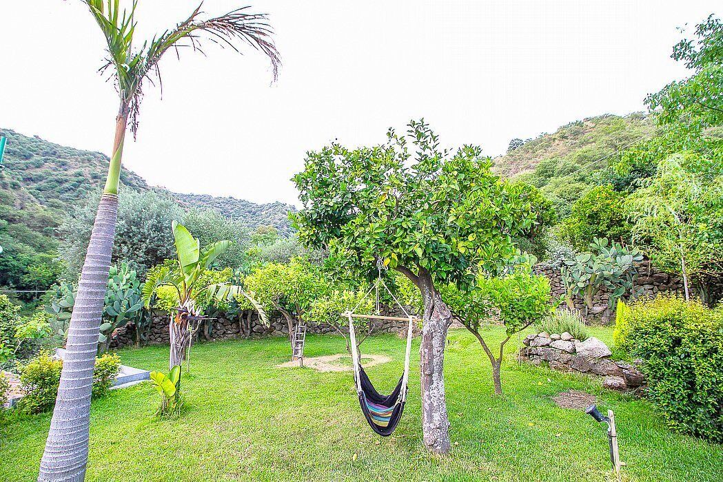 Photo of Outdoor in Motta Camastra