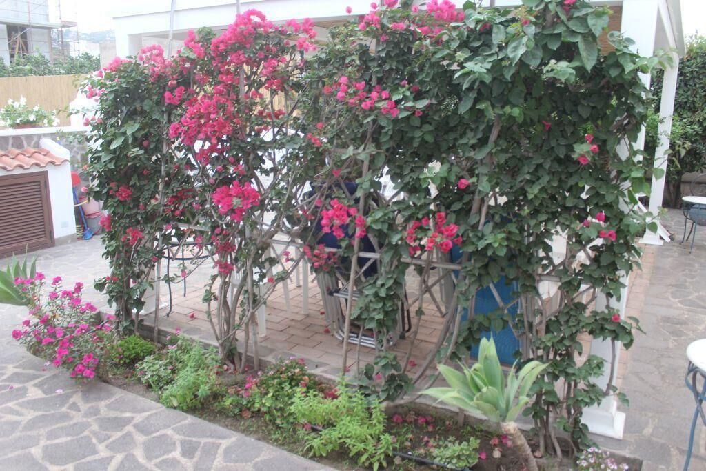 Photo of Patio Balcony in Lipari Historic Centre