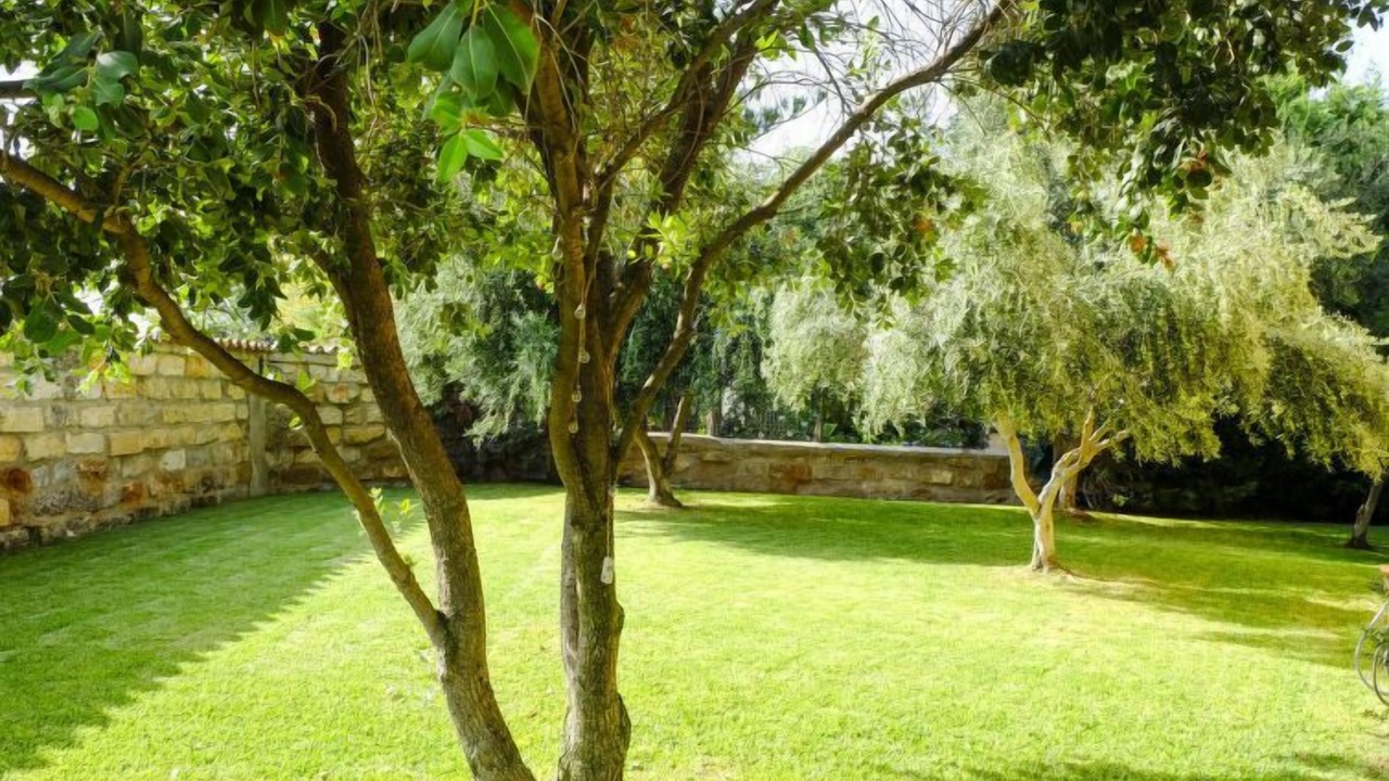 Photo of Outdoor in Cinisi