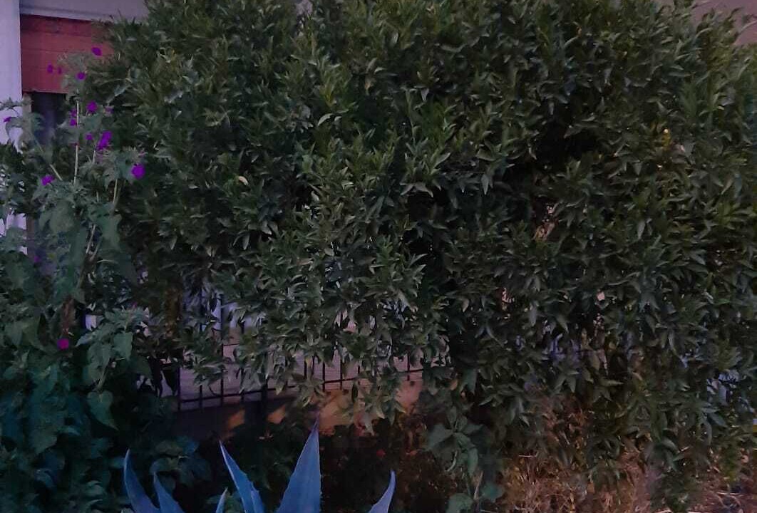 Photo of Outdoor in Francavilla di Sicilia