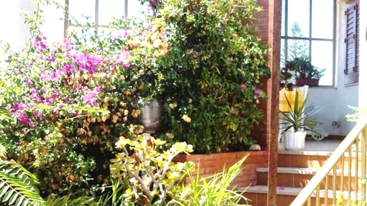 Photo of Outdoor in Licata