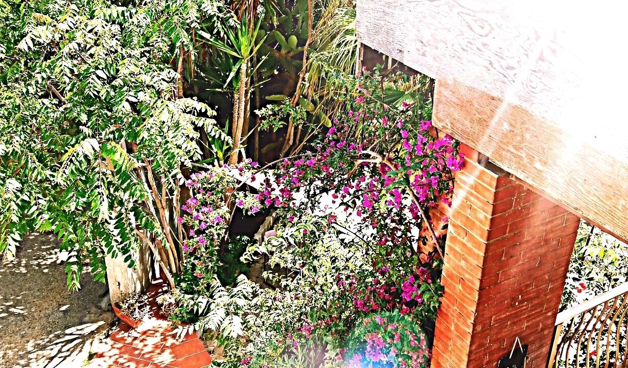 Photo of Outdoor in Licata