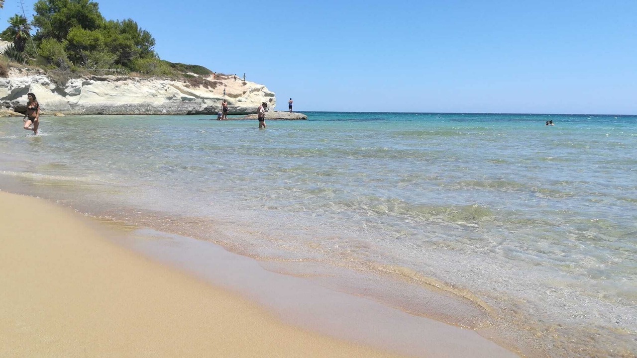 Photo of Others in Noto Marina