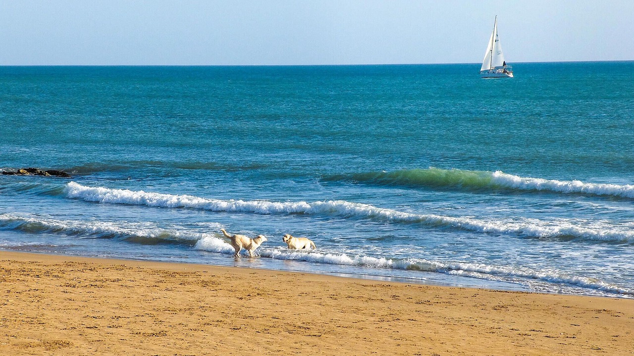 Photo of Others in Marina di Ragusa