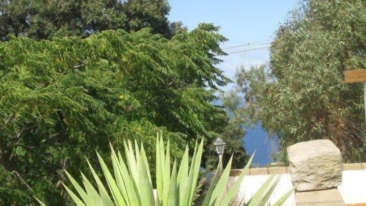 Photo of Outdoor in Kamma