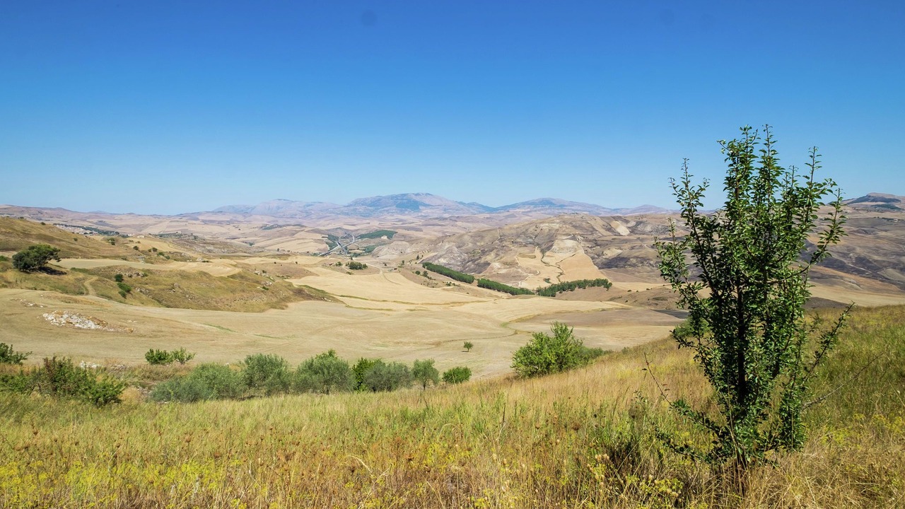 Photo of Others in Landro