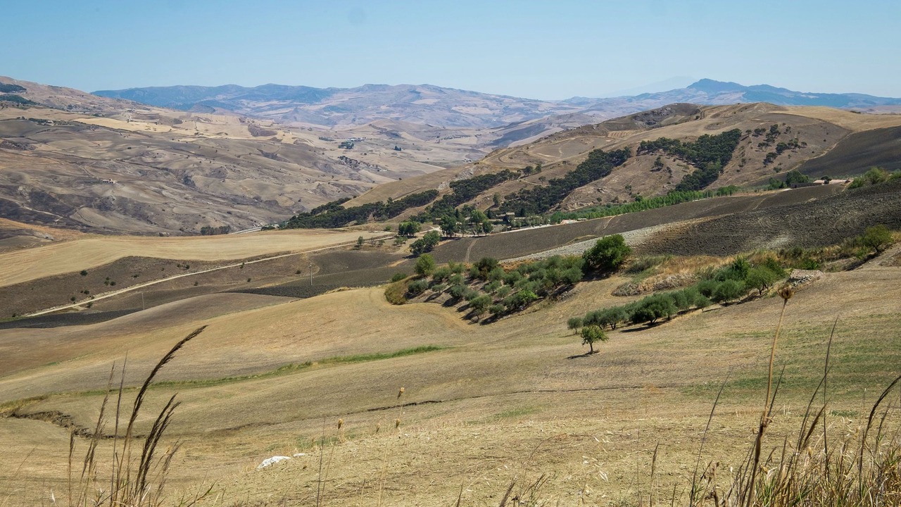 Photo of Others in Landro
