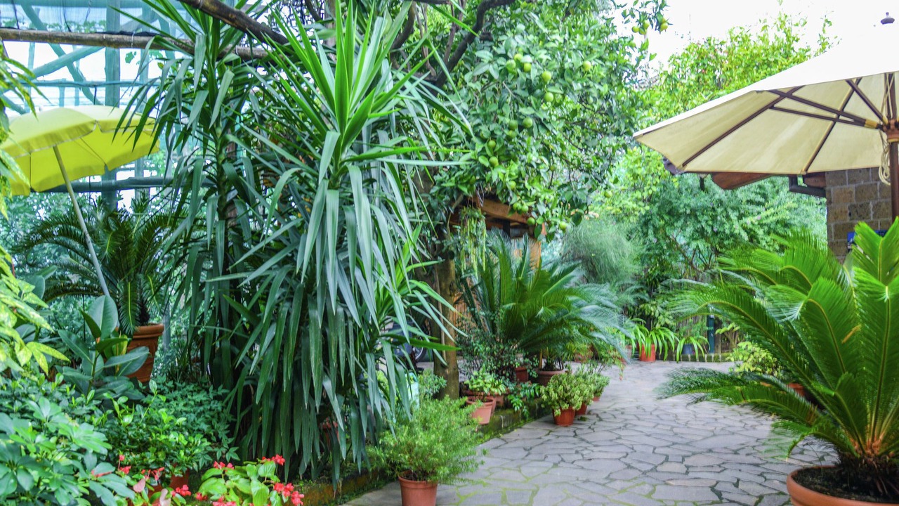 Photo of Outdoor in Sorrento