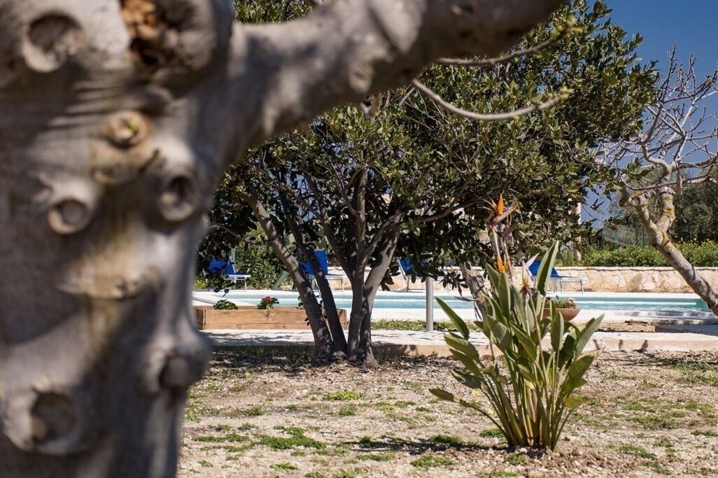 Photo of Outdoor in Scopello