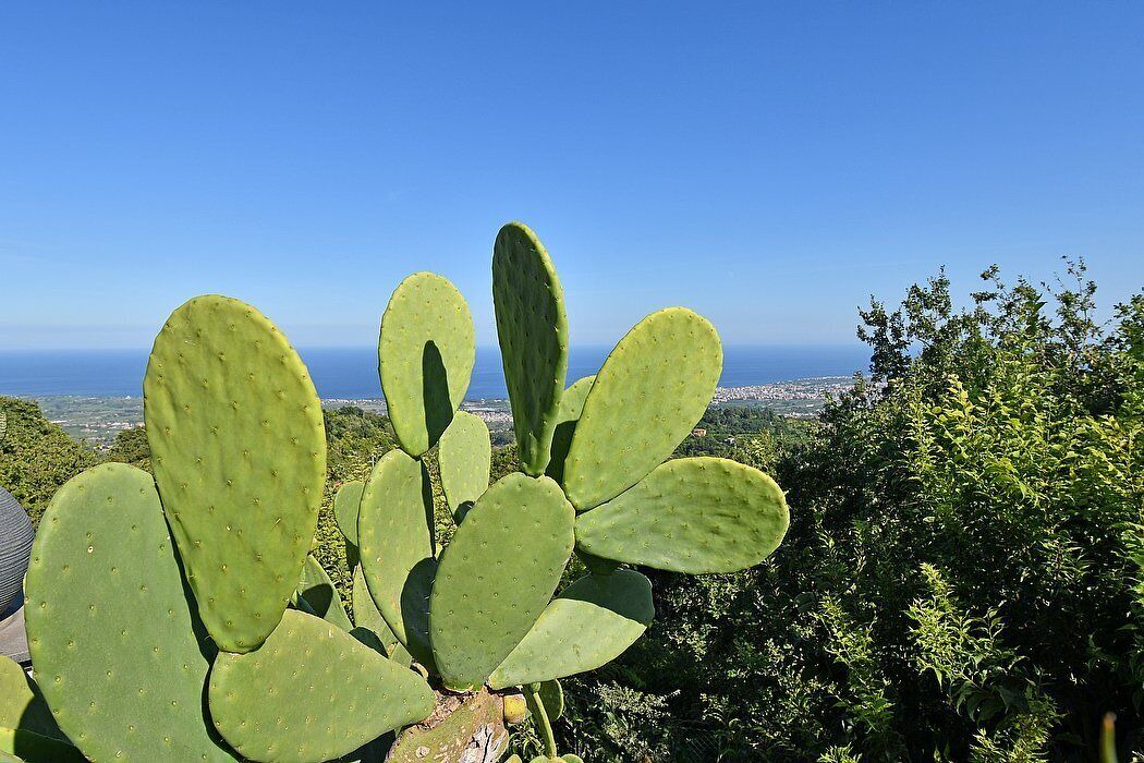Photo of Outdoor in Mascali