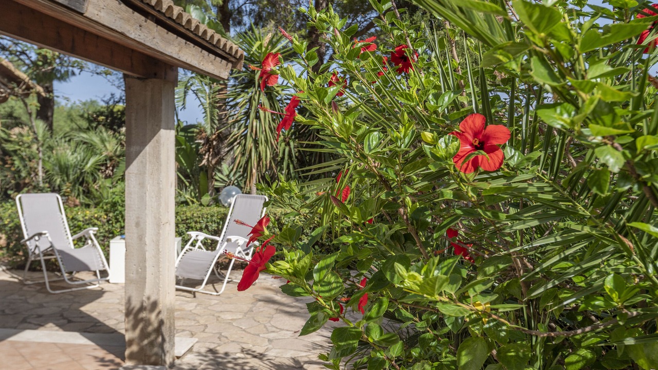 Photo of Patio Balcony in Custonaci