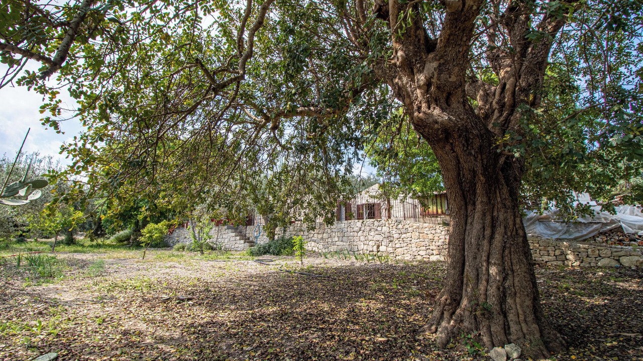 Photo of Outdoor in Campanella-Gianforma
