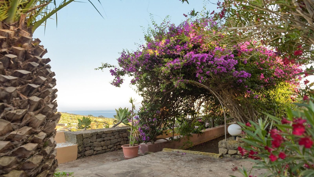 Photo of Outdoor in Pantelleria