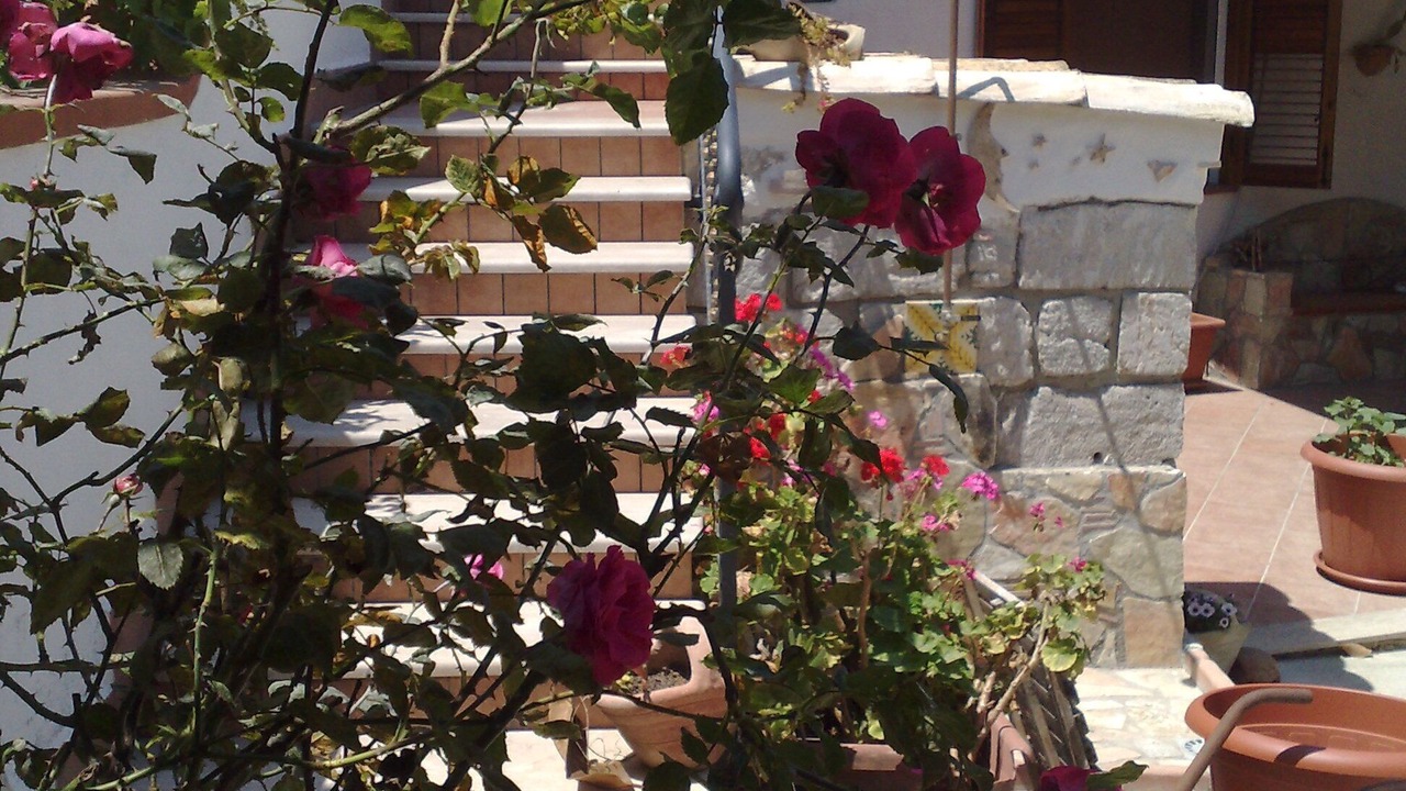 Photo of Outdoor in Isola delle Femmine