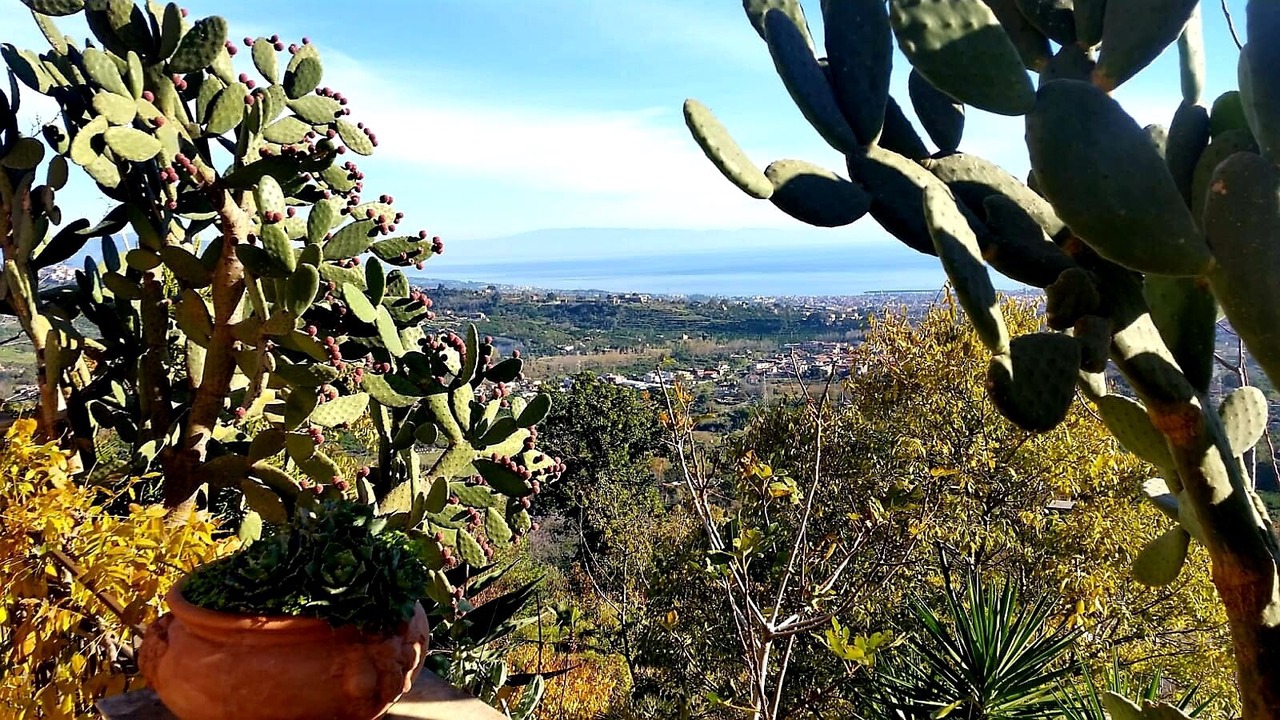 Photo of Outdoor in Giarre