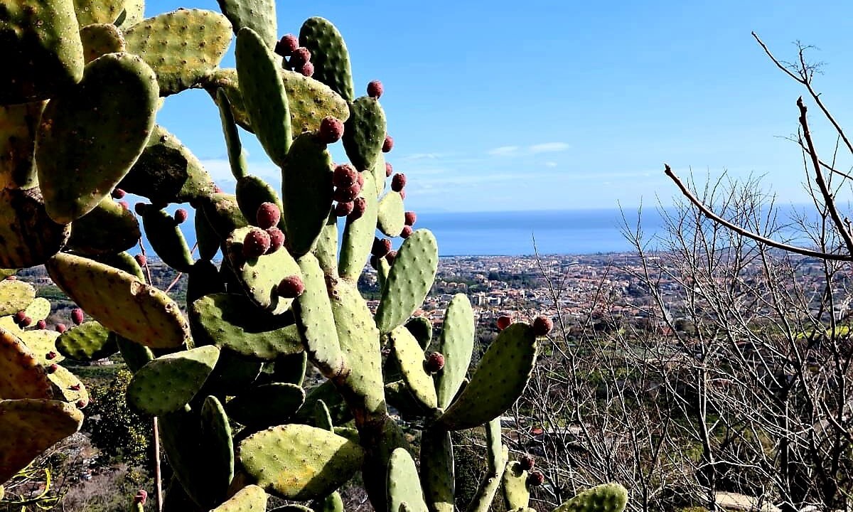 Photo of Outdoor in Giarre