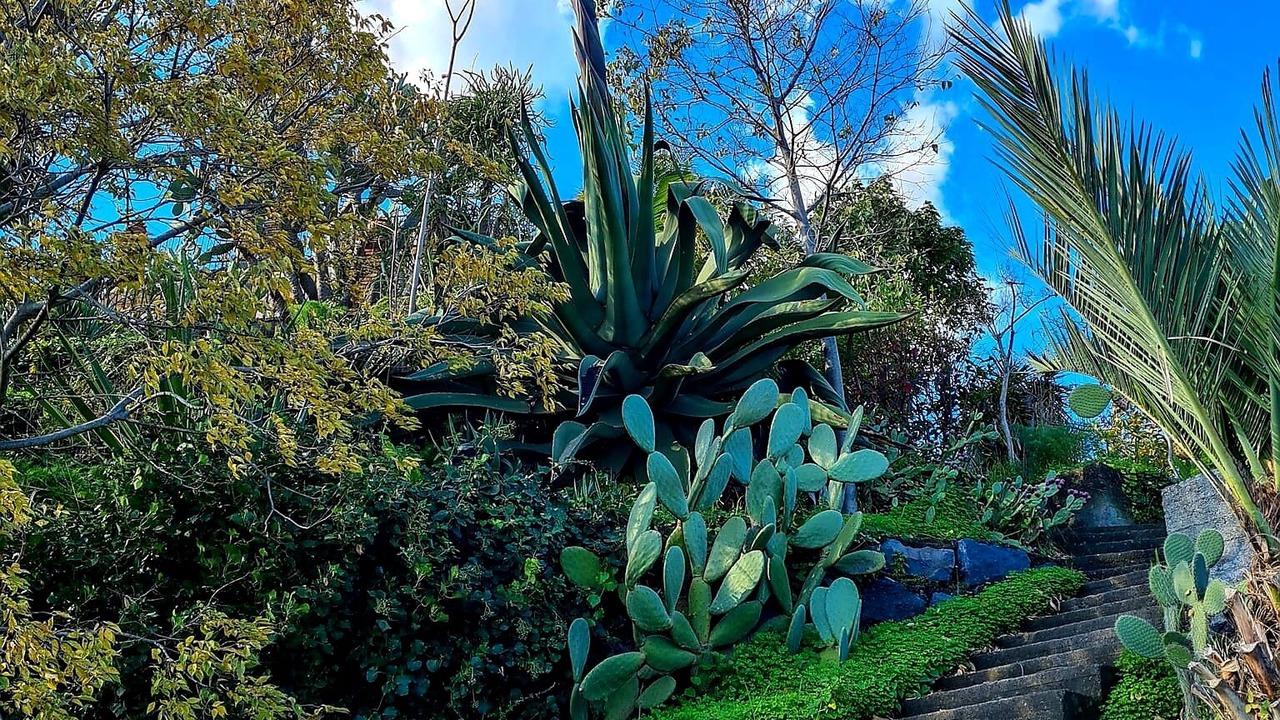 Photo of Outdoor in Giarre
